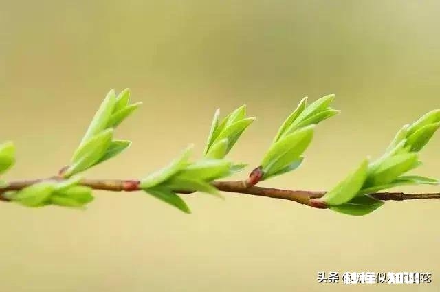 每天都处在崩溃的状态怎么办，我想哭，又不敢哭，怕被爸爸看到，只要是自己一个人的时间都会哭，崩溃