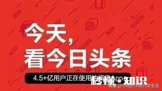今日头条突然封号怎么办