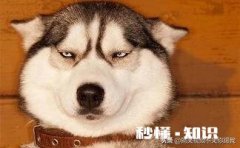 一个人在什么时候最像恶魔