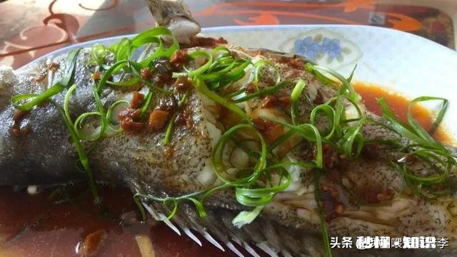 石班鱼怎么做最好吃