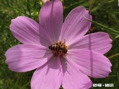 为什么很多人不喜欢做保险的人