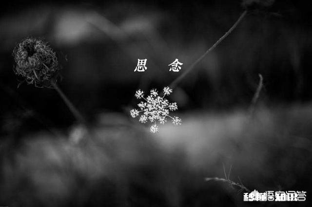 想念一个人到极致是什么样的感觉