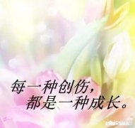 在感情中，贾乃亮和王宝强谁更加值得同情为什么