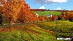 现在90后每个月的收入和支出是怎么样的，能存下来钱吗