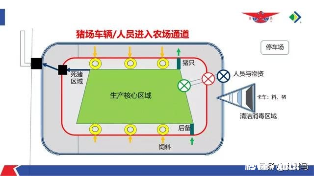 非洲猪瘟厉害吗影响是怎样的