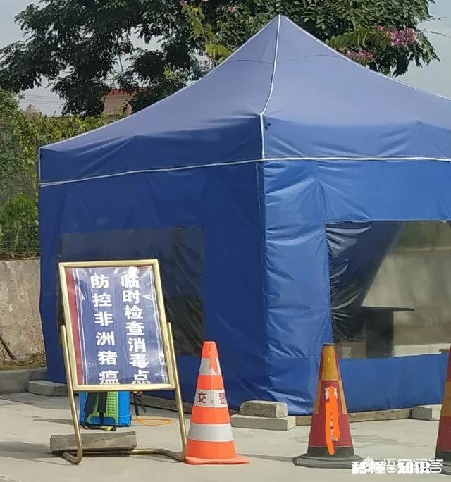 非洲猪瘟厉害吗影响是怎样的