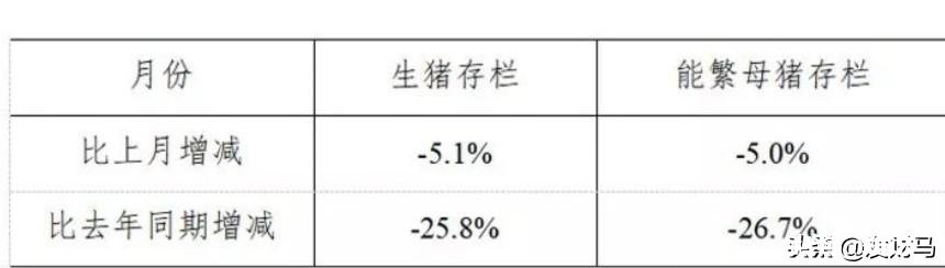 非洲猪瘟厉害吗影响是怎样的