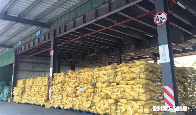 非洲猪瘟厉害吗影响是怎样的