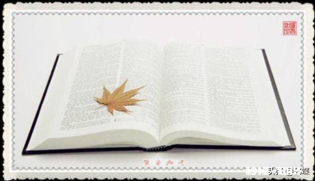 新手如果写一部小说，在某平台始终得不到签约，可否一家一家地换平台