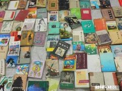 有什么类似于《我当阴阳先生的那几年》、《黑水尸棺》那样的小说推荐