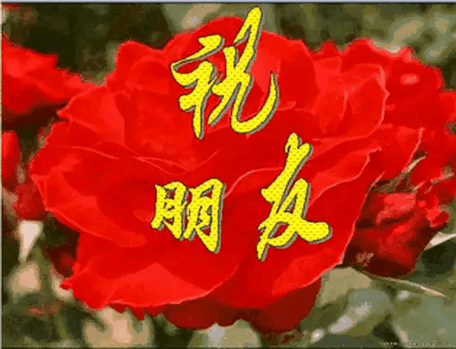 有什么类似于《我当阴阳先生的那几年》、《黑水尸棺》那样的小说推荐