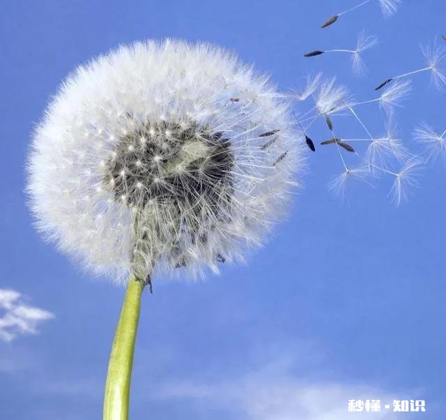 一个性格内向，天生不善言辞，不太懂的交流的人，是不是就是坏人