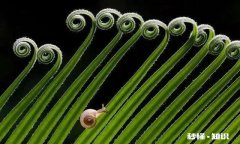 一个性格内向，天生不善言辞，不太懂的交流的人，是不是就是坏人