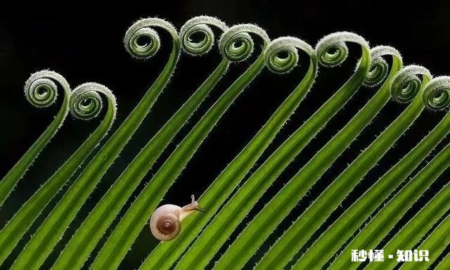 一个性格内向，天生不善言辞，不太懂的交流的人，是不是就是坏人