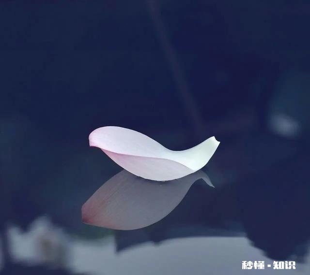 一个性格内向，天生不善言辞，不太懂的交流的人，是不是就是坏人