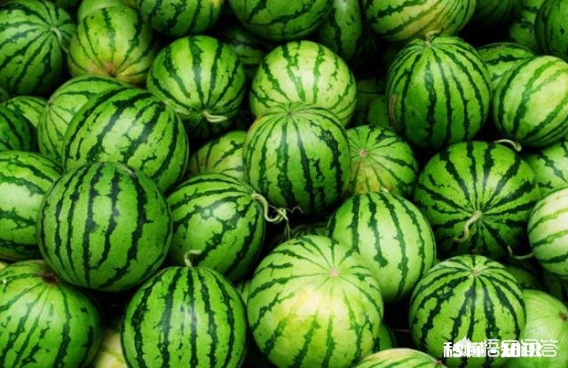 你认为在夏天最必不可少的水果是什么