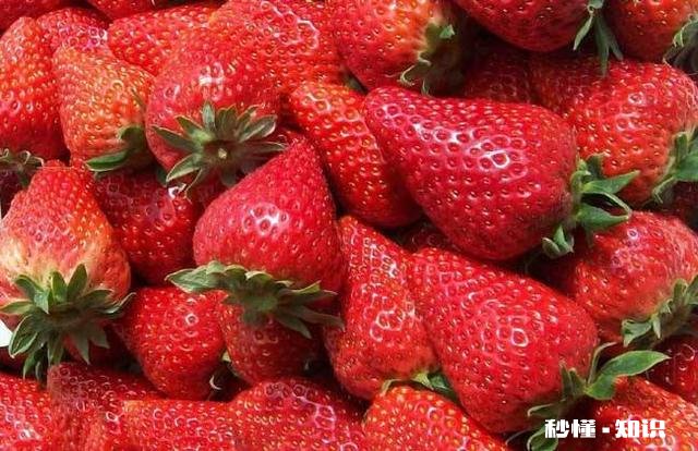草莓可以用红土来种吗