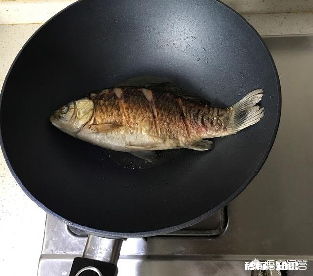 怎么做一道家常美味的鲜鱼汤，汤色白，微微辣，营养丰富的那种