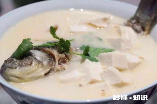 怎么做一道家常美味的鲜鱼汤，汤色白，微微辣，营养丰富的那种