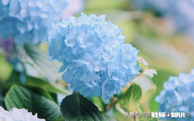 婚前男方给的财礼，现离婚男方起说六万是借我的会立案吗