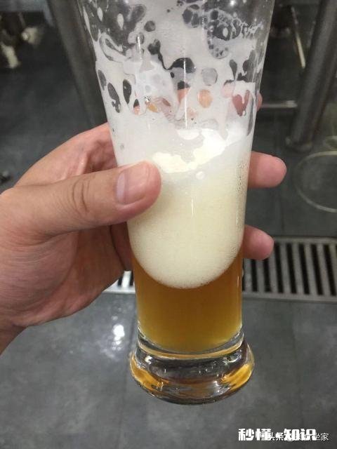 青岛啤酒青麦好喝还是蓝宝石好喝