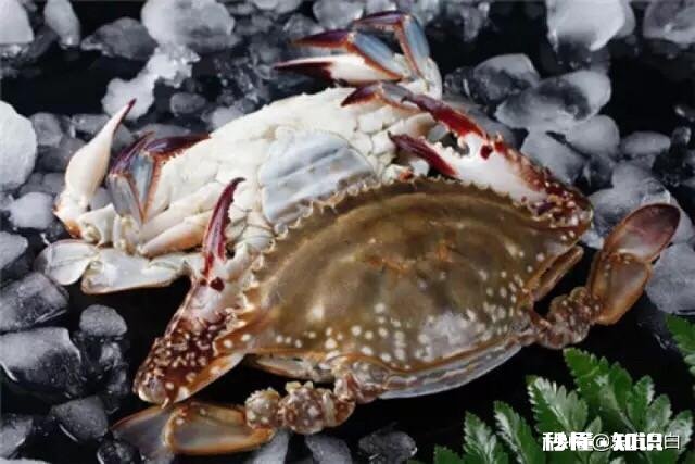 大家最喜欢的海鲜是什么吃的最贵的又是哪个