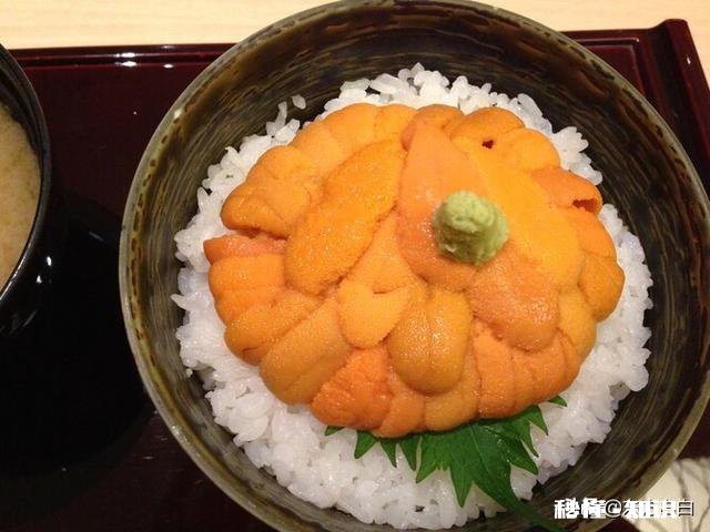 大家最喜欢的海鲜是什么吃的最贵的又是哪个