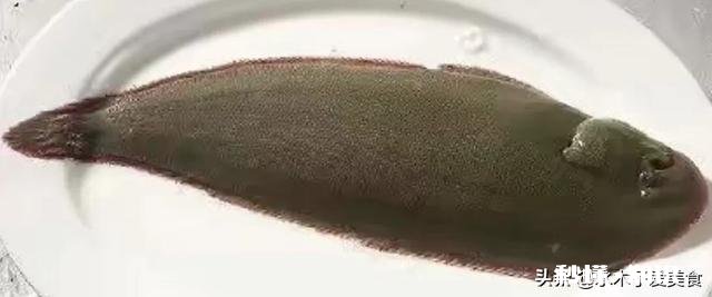 大家最喜欢的海鲜是什么吃的最贵的又是哪个