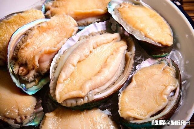 大家最喜欢的海鲜是什么吃的最贵的又是哪个