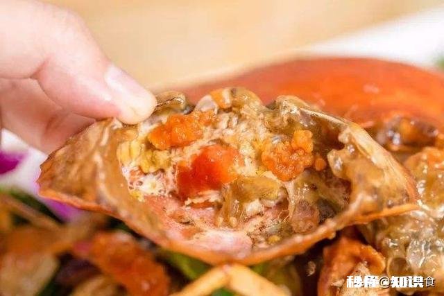 大家最喜欢的海鲜是什么吃的最贵的又是哪个