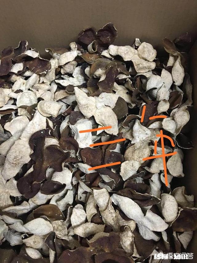 想开个特产店。谁有比较好的特产给我提供的