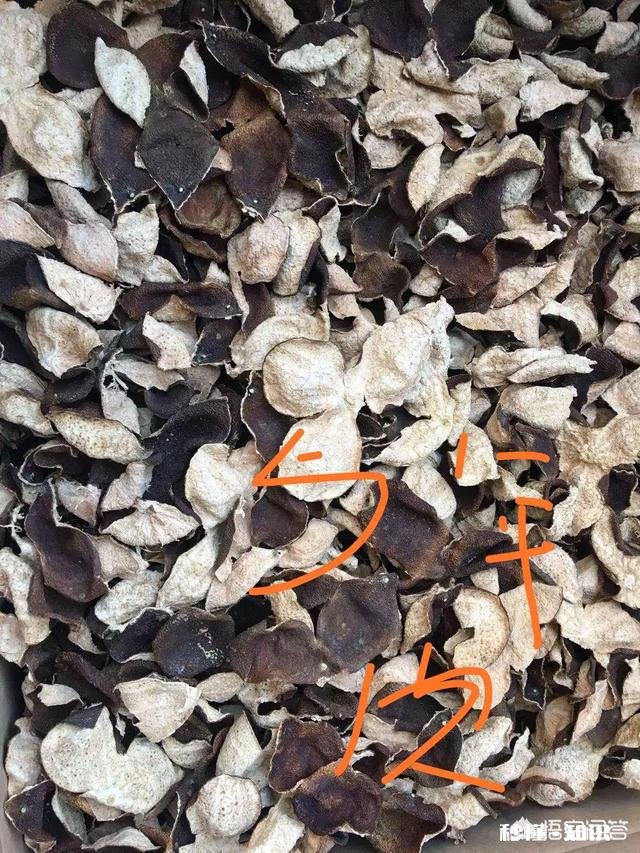 想开个特产店。谁有比较好的特产给我提供的