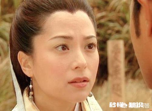 《寻秦记》电影如果由原班人马出演，你觉得除了主角外，配角里最不能缺的演员是谁