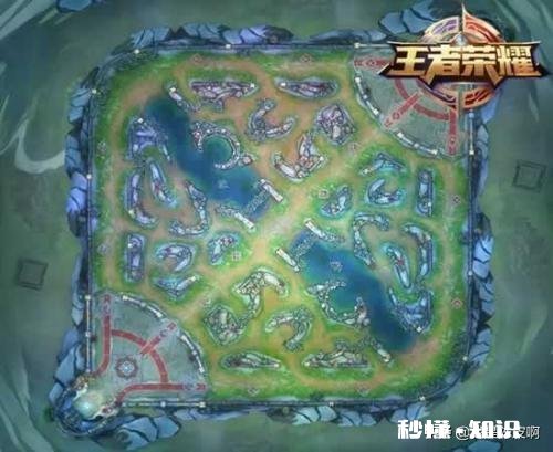 王者荣耀玩家观看张大仙三年直播‘学技术’，一看段位都白学了，你怎么看