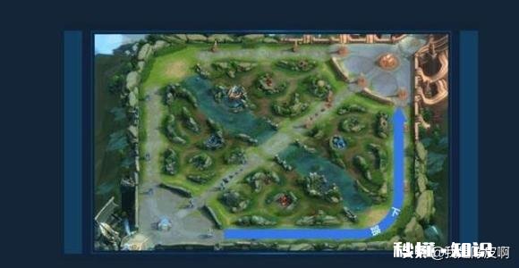 王者荣耀玩家观看张大仙三年直播‘学技术’，一看段位都白学了，你怎么看