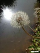 有哪些句子让你感觉惊艳了时光