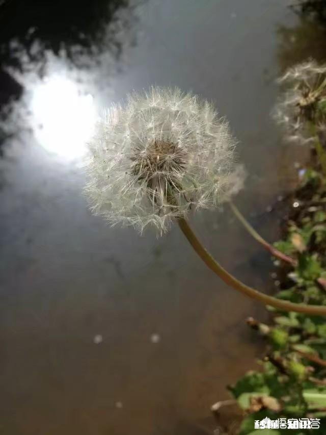 有哪些句子让你感觉惊艳了时光