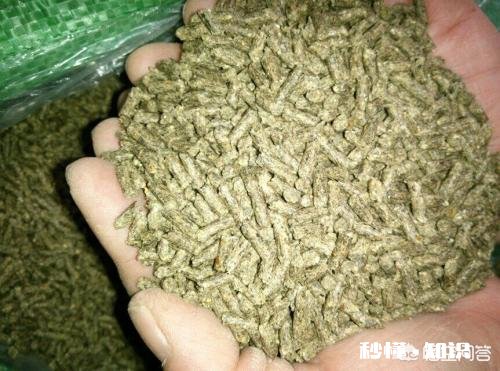 鲜人尿可以和粮食混合喂大鸡吗