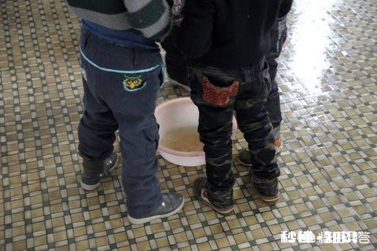 鲜人尿可以和粮食混合喂大鸡吗