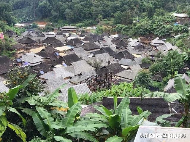 鸡胃很大吃什么药