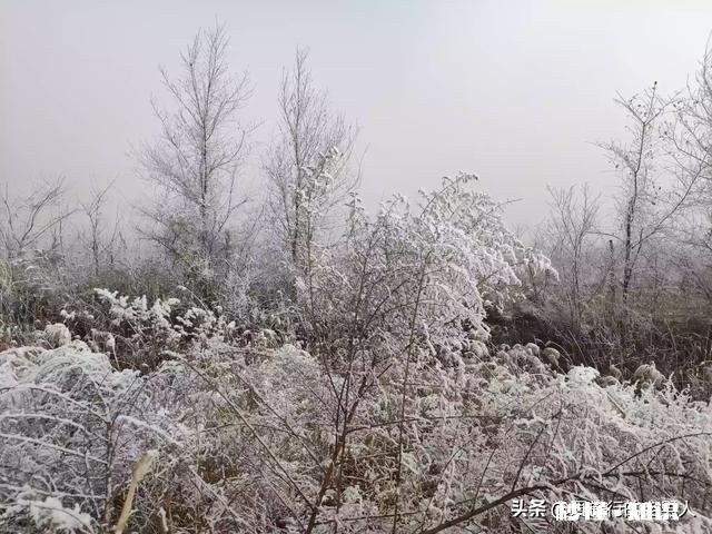 天地一色，大雾“染白”河北廊坊燕郊城区, 你怎么看
