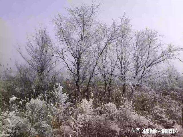 天地一色，大雾“染白”河北廊坊燕郊城区, 你怎么看