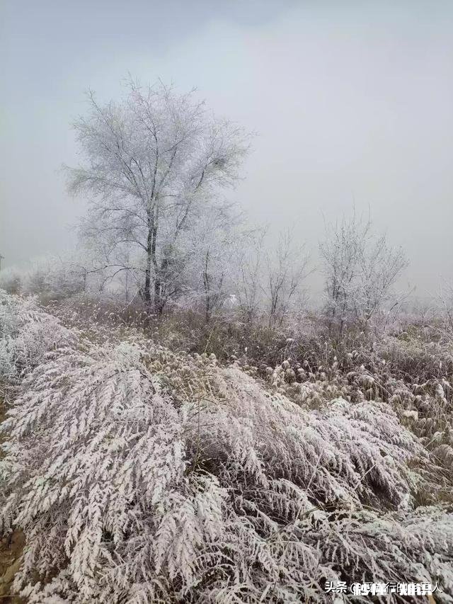 天地一色，大雾“染白”河北廊坊燕郊城区, 你怎么看