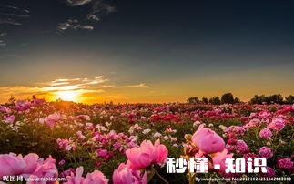 人越活越年轻越美丽。这句话为什么很多人认为是对的，深信不疑