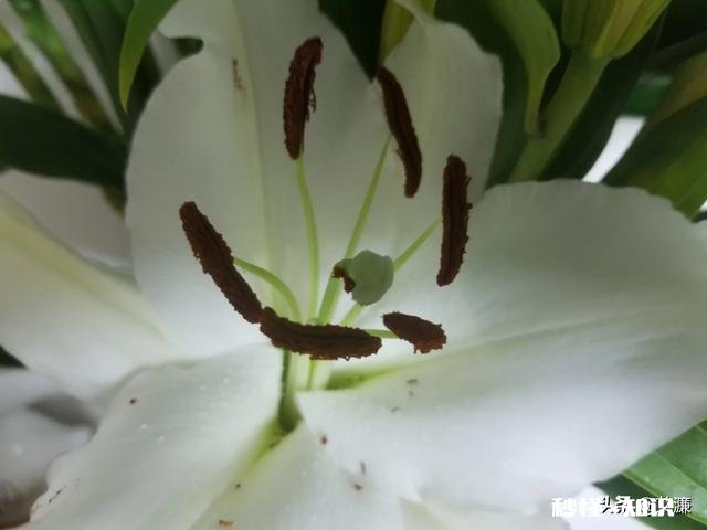 人越活越年轻越美丽。这句话为什么很多人认为是对的，深信不疑