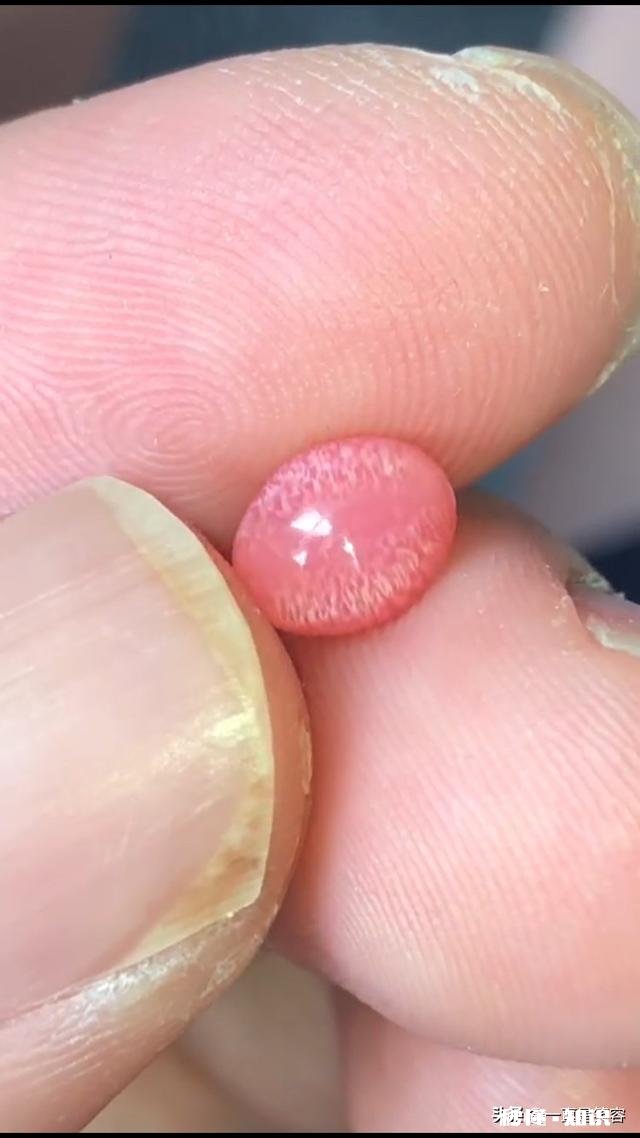 本人有颗海螺美乐珠150克拉要怎么出手