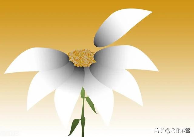 很爱老公，老公对我也很好，快过生日了，送他什么礼物呢