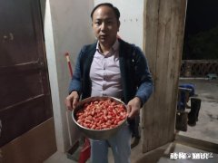 我不想和公婆一起住，但老公坚持要和他爸妈一起住，怎么办