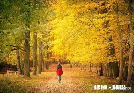 我不想和公婆一起住，但老公坚持要和他爸妈一起住，怎么办