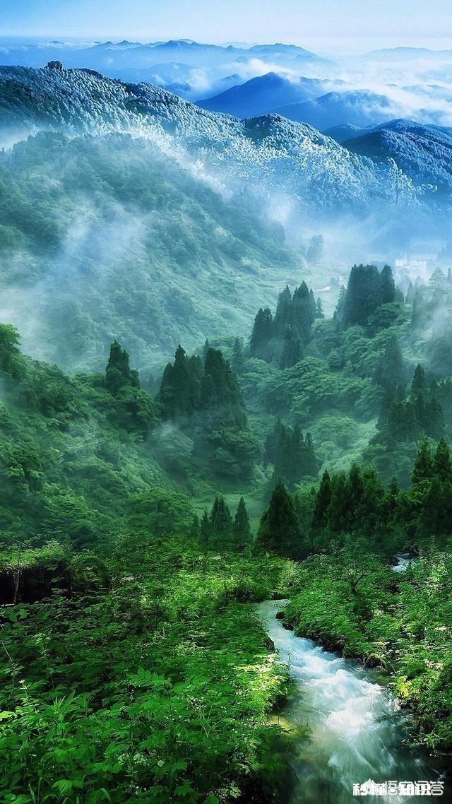 什么壁纸可以显的手机屏幕比较大